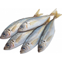 Солёный сушеный анчоус