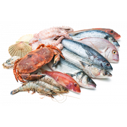 Почему нужно есть рыбу?