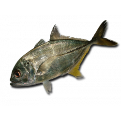 Ставрида: польза и калорийность