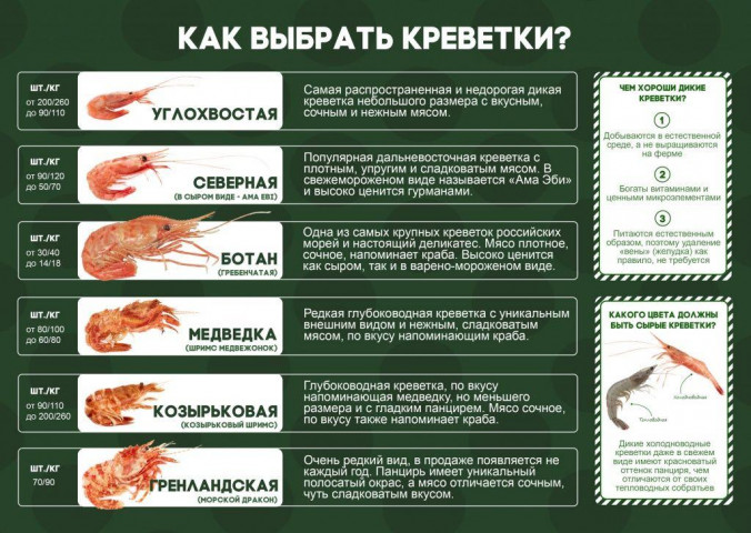 Какие есть виды креветок?