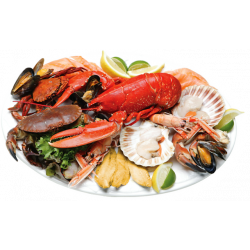 Закуски из рыбы и морепродуктов: как повысить прибыль и удивить клиентов