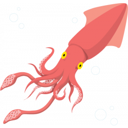 Почему надо есть кальмары и как правильно их готовить