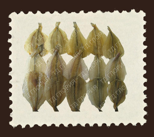 Крокер солено-сушеный